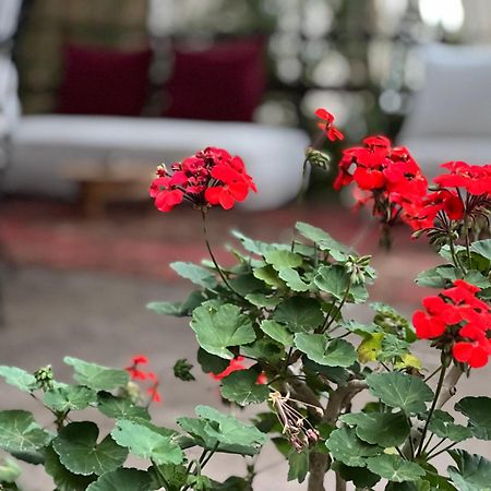 Dar Tadout Guest House Ait Ourir ภายนอก รูปภาพ