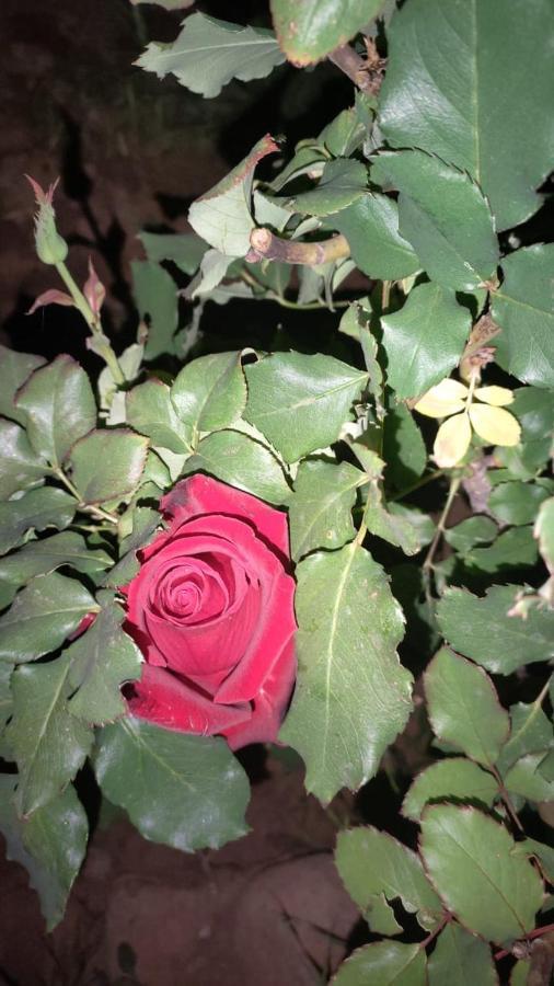 Dar Tadout Guest House Ait Ourir ภายนอก รูปภาพ