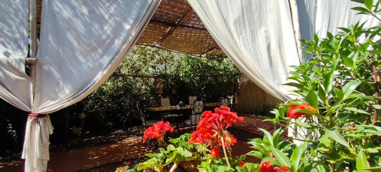 Dar Tadout Guest House Ait Ourir ภายนอก รูปภาพ