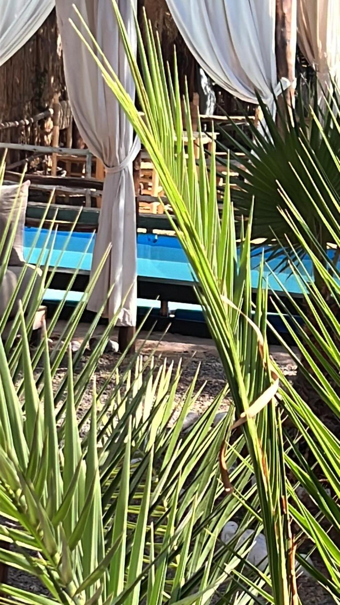 Dar Tadout Guest House Ait Ourir ภายนอก รูปภาพ